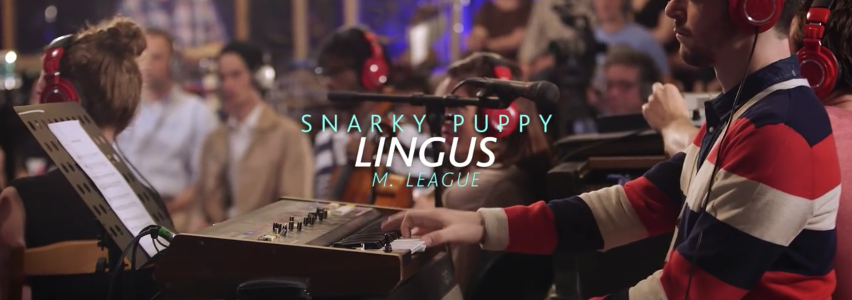 Bass Tab - Snarky Puppy – Lingus
